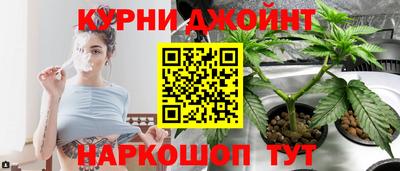 мдпв Ирбит