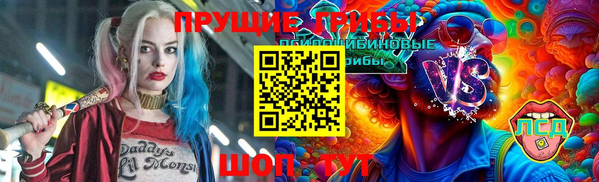 Галлюциногенные грибы Psilocybine cubensis  Галлюциногенные грибы GOLDEN TEACHER  Менделеевск  Вход с VPN 